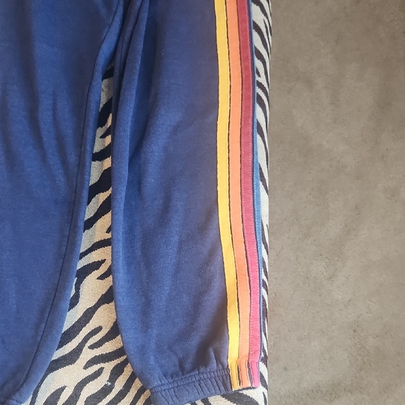 Aviator Nation Blue Sweatpants with Rainbow Stripe - Picture 4 of 4